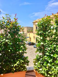B&B L'Assunta - 6