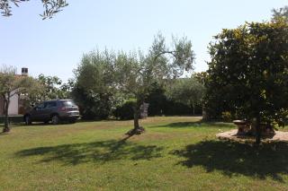 App Trinodis - Bašanija - 9