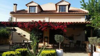 Rafina great feeling villa - Rafina - 8