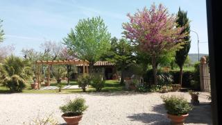 Villa San marco - Cortona - 5