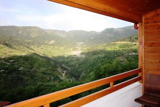 Archontiko Metsovou Luxury Boutique Hotel - Metsovo - 3