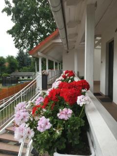 Pension Geranienhof - Stahnsdorf - 9