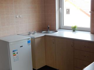 Sweet Apartment - Truskavets - 3