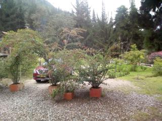 Cucunuba por Siempre - 3