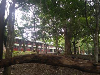 Periyar House - Thekkady - 4