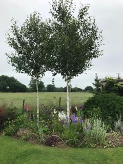 Fair View - Marden - 5