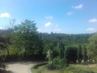 Dom w Zielonej Dolinie - 8