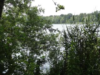 Cottage Ferienwohnung mit Seeblick - Caputh - 1