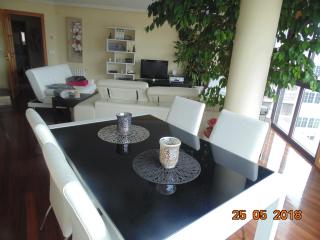 Duplex grandes cristaleras impresionantes vistas - Ourense - 1