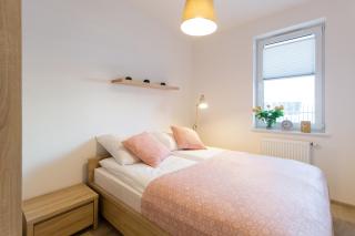 Apartament Rose - 6