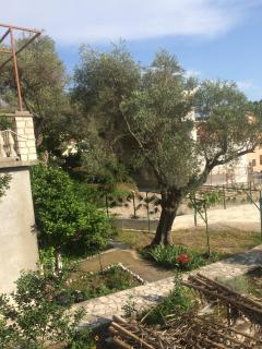 Apartments Mrvaljevic - Petrovac na Moru - 5