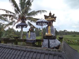 Ala's Green Lagoon - Ubud - 6