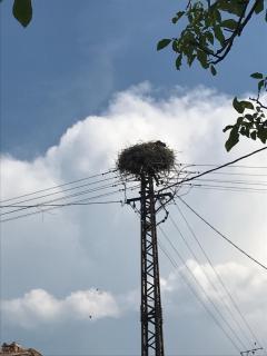 Gólyásház apartman - 7