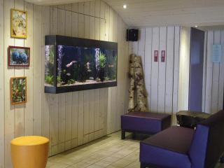 Hotel De La Route Verte - Gérardmer - 6