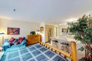 Aleyska East Condo 210 - Girdwood - 5