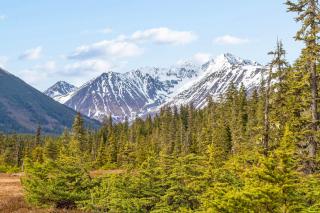 St. Moritz House & Apartment - Girdwood - 7