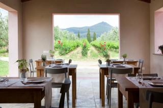 Agriturismo Tra gli Ulivi, Chiappini Winery - Bolgheri - 7