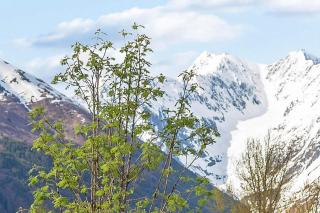 Snowbird Chalet #8 - Girdwood - 7