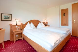 Hotel Sonnenberg - Grindelwald - 3
