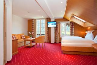 Hotel Sonnenberg - Grindelwald - 5
