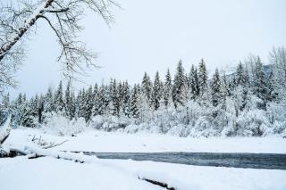 Jewel Chalet - Girdwood - 1