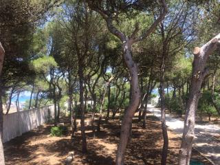 Masseria Villa - 4