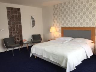 Hotel Dvůr - 9