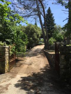 L'Esquirou - Grasse - 8