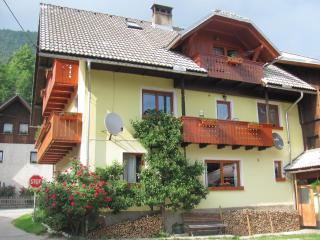Apartments and Rooms Hodnik Slavko - Bohinj - 9