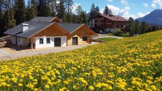 chalet soredl - Antermoia - 5