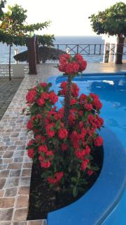 Maxanika - Jacmel - 6