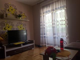 Royal Torarica - Vrnjačka Banja - 5