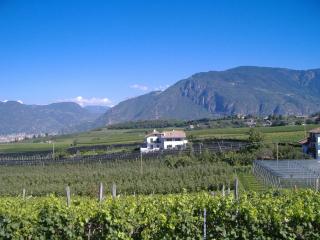 Fasslhof - Cornaiano - 7