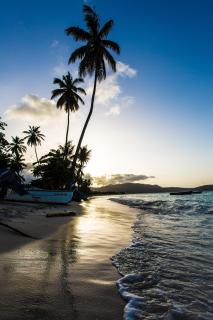 The Cove Apartments - 6