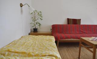 Lately renovated country house - Trenčín - 3