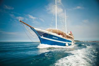 Pepina - Poreč - 2
