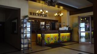 Hotel Górski Raj - Koninki - 7