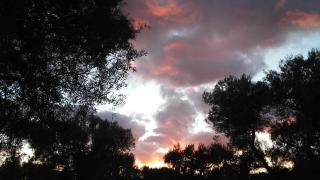 Sol Invictus Est - 8