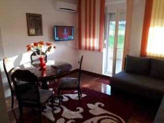 Mila Apartmani - Vrnjačka Banja - 3