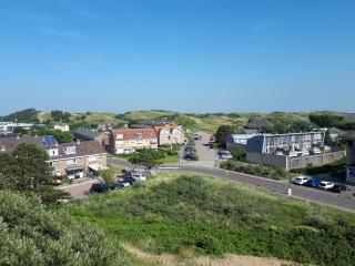 Duinnachtegaal - Egmond aan Zee - 9