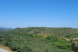 Olive Villas - Kría Vrísi - 2