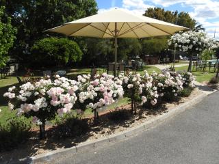 Wine Village Motor Inn - Rutherglen - 2