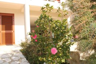 Apartments Vila Marica - Rabac - 4