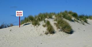 BORKUMUNTERKUNFT - WOH3 - IM HERZEN DER INSEL - Borkum - 2