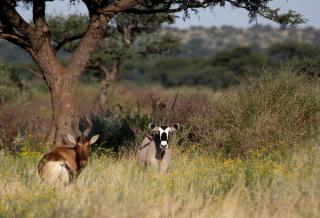 Ondekaremba - ONE Namibia - 1