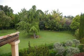 Mas au Cœur de La Provence & SPA - Saint-Cannat - 5