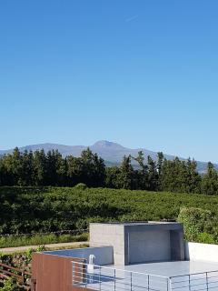 Jeju Eco Suites - Seogwipo - 2