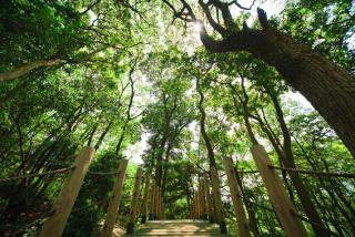 LIDO FORESTRY SPA RESORT - Yangmei - 1