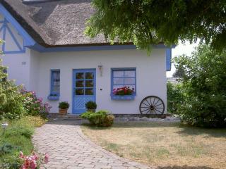Ferienhaus Diekelmann _ Objekt 258 - Diedrichshagen - 9