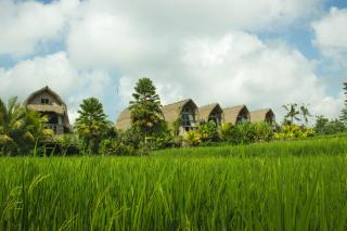 De Klumpu Bali Eco Tradi Stay - Bangli - 7